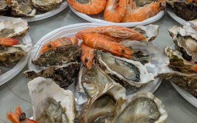 Un repas chaleureux, des rires partagés et un hommage à JM : L’esprit de la Boule Labarthaise